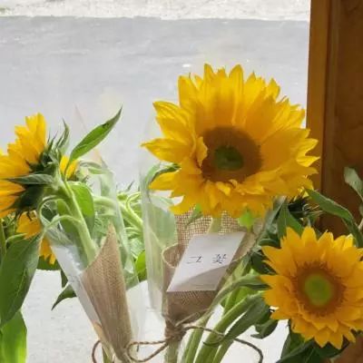 金沙乐娱场app下载手机app下载